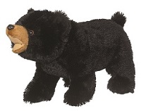   Black Bear Roaring